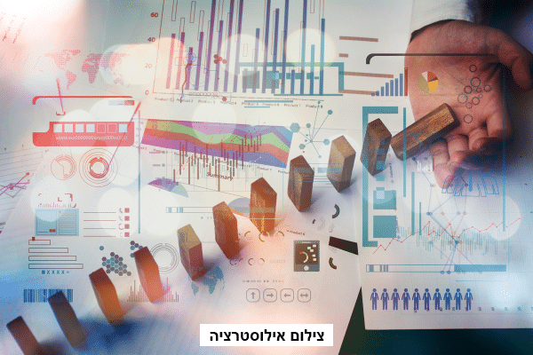 פרסום מודעת כונס נכסים בעיתון כלכליסט